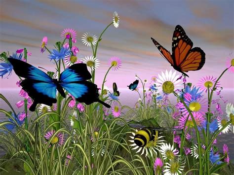 Nature Butterfly Wallpapers 4k Hd Nature Butterfly Backgrounds On