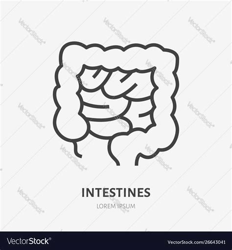 Gut Flat Line Icon Thin Pictograph Human Vector Image