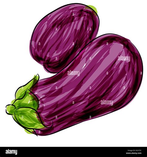 An Image Of A Purple Eggplant Watercolor Drawing Stock Photo Alamy