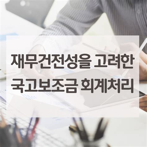 재무건전성을 고려한 국고보조금 회계처리