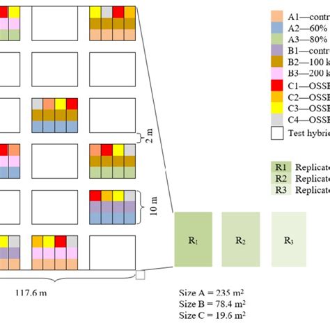 Experimental Plot Design Download Scientific Diagram