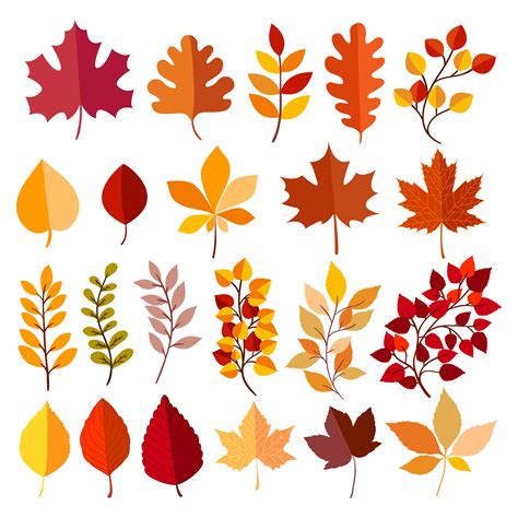 Autumn Elements Collection 570069 Vector Art At Vecteezy