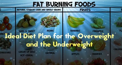 Ideal Diet Plan for the Overweight and the Underweight