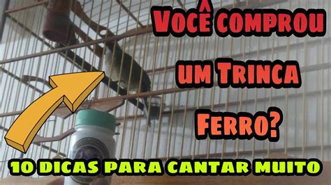 COMPROU UM TRINCA FERRO E AGORA 10 DICAS PARA FAZER ELE CANTAR MUITO