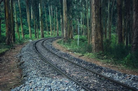 Premium Photo Diminishing Perspective Of Railroad Track Amidst Trees