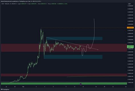 BINANCE SHIBUSDT Chart Image By MojitoTrading Davide TradingView