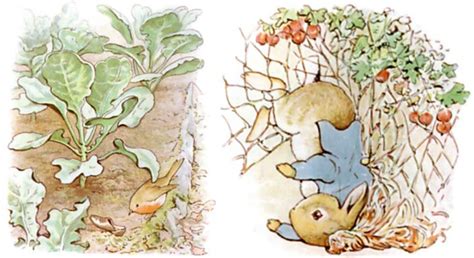 Right Left Game Story The Tale Of Peter Rabbit