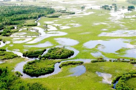 2023黑龙江南瓮河国家级自然保护区旅游攻略 门票 交通 天气旅泊网