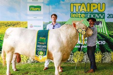 Cooperativa Regional Itaipu 22º Itaipu Rural Show Realizado