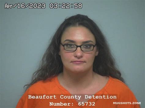 Heidi Michelle Gardner 04 16 2023 Beaufort County Mugshots Zone