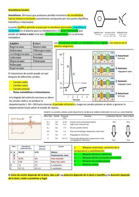 Resumen Anestesiologia Regional Tatiana Nicole Talledo Davila Udocz