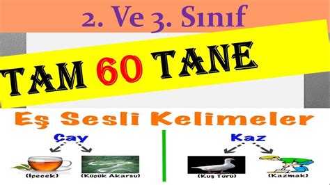 2 ve 3 Sınıf EŞ SESLİ sesteş KELİMELER Hepsi Görselli Tam 60 tane