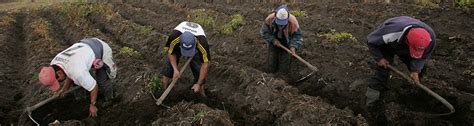 Vinculación inversión privada con territorios rurales una herramienta