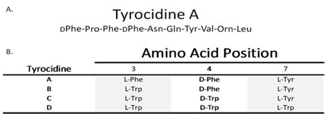 Tyrocidin - wikidoc