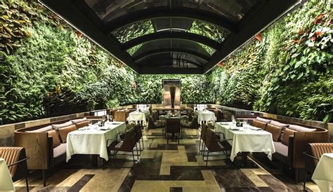 5 Ways Restaurants Can Go Green Green Prophet