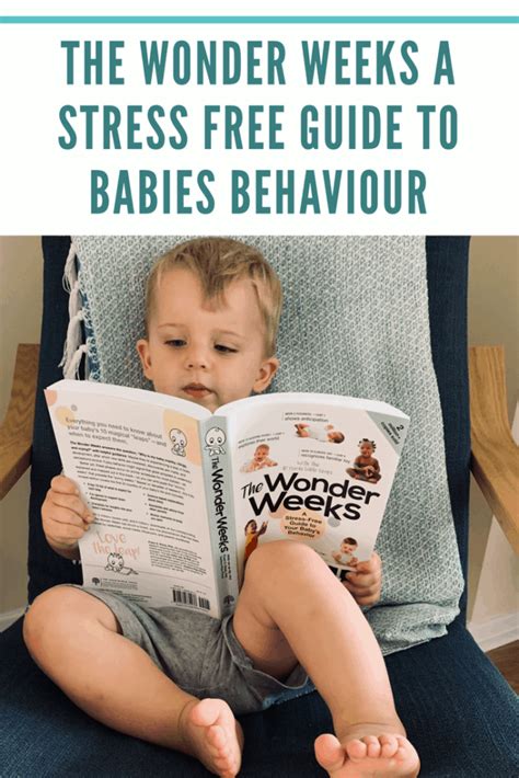 The Wonder Weeks Baby‘s Development Review