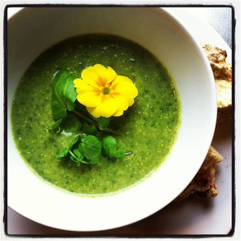 Watercress Soup Garnished With Primrose A Fantastic Spring Starter