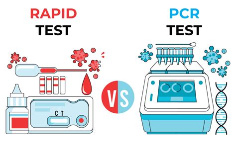 Rapid Vs. PCR Testing: Which Should You Choose For Your COVID Test? – S ...