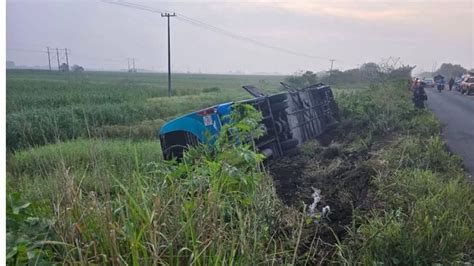 Accidente De Autob S En Los Tuxtlas Deja Pasajeros Lesionados Iba