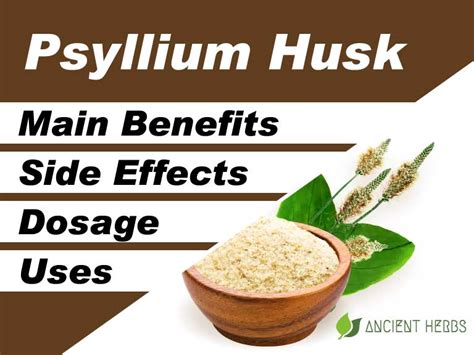 Psyllium Husk Benefits, Uses, Dosage & Side Effects