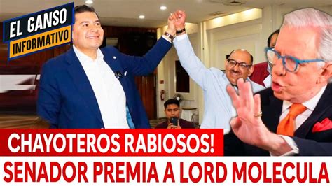 CHAYOTEROS RABIOSOS SENADOR PREMIA A LORD MOLECULA YouTube