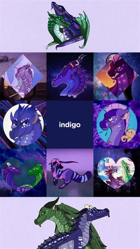 Indigo💜 In 2024 Wings Of Fire Dragons Wings Of Fire Fire Dragon