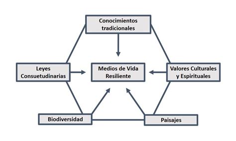 Patrimonio Biocultural Una Conexión Con La Memoria De La Humanidad