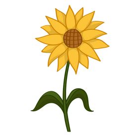 Sunflower border clipart free download