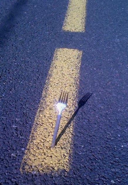 A Fork in the Road