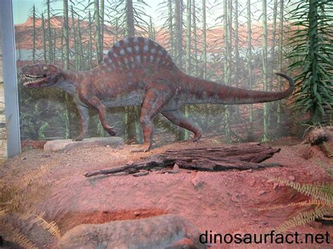 Arizonasaurus - Alchetron, The Free Social Encyclopedia