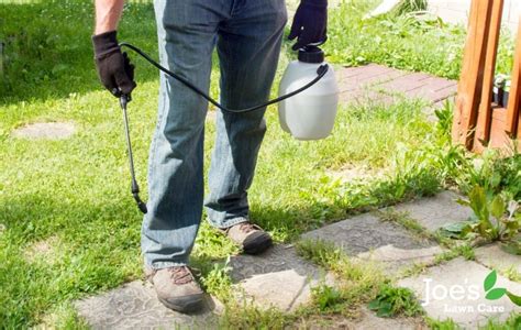 Ways To Remove Weeds From Your Gravel Driveway Joe S Lawn Care