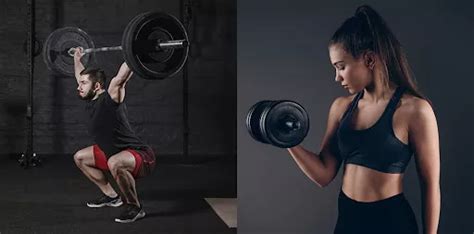 Compound Vs Isolation Exercises Which Is Better Fittr