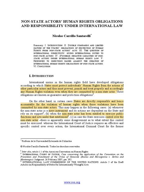 Non State Actors Human Rights Obligations And Responsibility Under