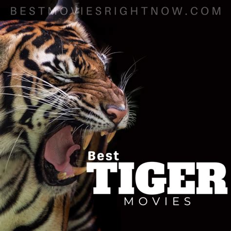 Best Tiger Movies - Best Movies Right Now