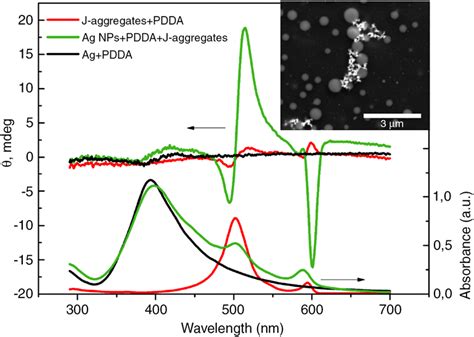 Absorption And Circular Dichroism Spectra Of J Aggregates With Pdda