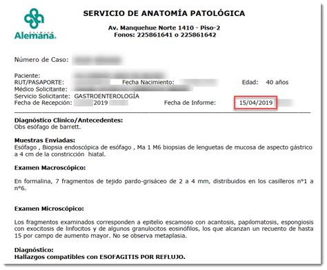 Ejemplo De Ficha De Identificaci N Del Paciente Educaci N Activa