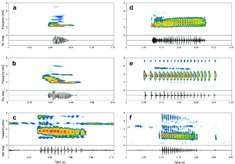 Spectral And Temporal Structure Of Chirp Calls And Squeak Calls Of The Download Scientific