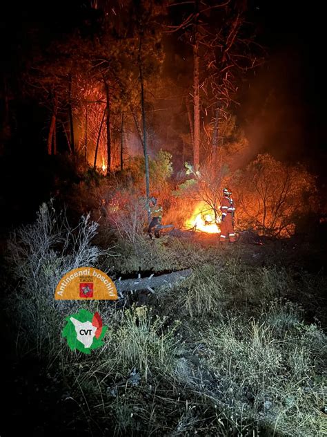 Incendio Di Galceti In Fiamme Otto Ettari Di Bosco Il Tragico