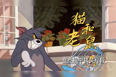 猫和老鼠：盘点剧中搞笑片段，每天一笑，心情欢乐 片段 一笑 盘点