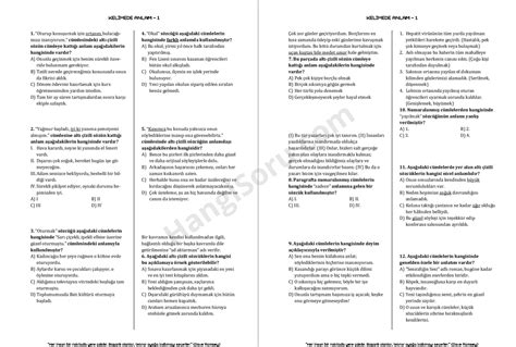 S N F S Zc Kte Anlam Testi Pdf Ndir Sayfa Hangisoru