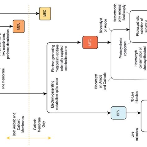 Classification Of Bioelectrochemical Systems Bess Based On