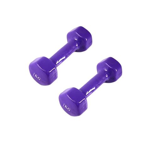 Buy Hexagonal Dumbbell Set 2 x 1kg Online | Danube Home UAE