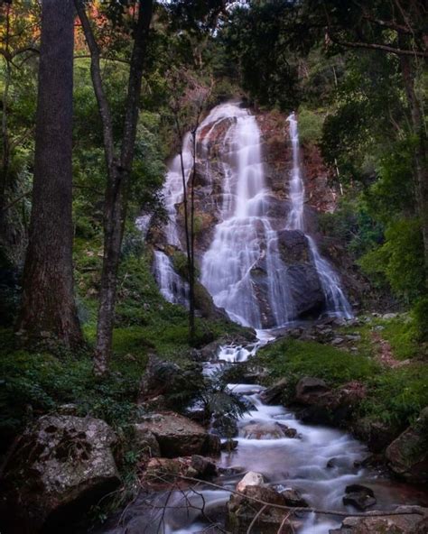 Serra do Japi muita natureza e paz nessa parte da Mata Atlântica em SP