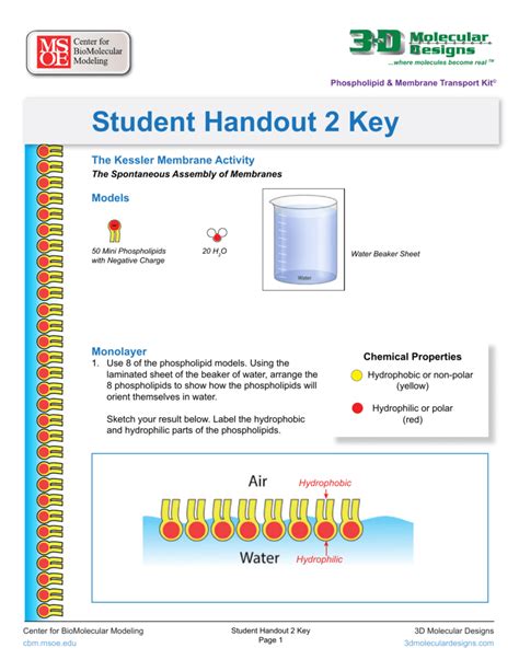 3d Molecular Designs Enzymes In Action Kit Answer Key