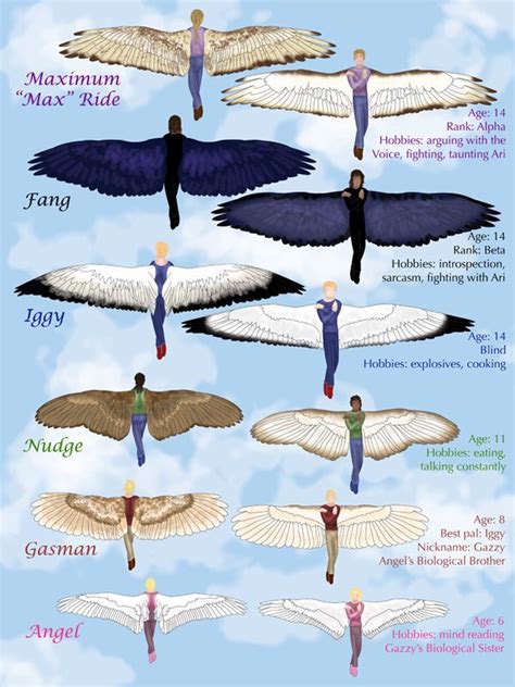 The Flocks Wing Spans And Some Descriptions Maximum Ride Wings