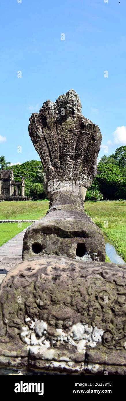 Ancient Seven Headed Serpent Or Naga Balustrade Ruins Outside Angkor