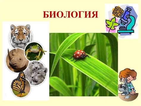 Общие закономерности жизни (9 класс) - презентация онлайн