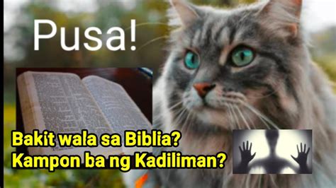 Nasa Biblia Din Ba Ang Pusa Kampon Ba Sila Ng Kadiliman Youtube