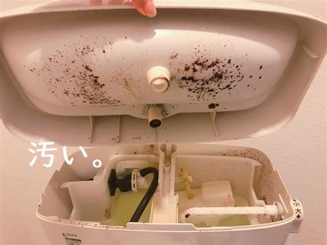 トイレタンクの掃除したことない人必見！掃除方法や使用洗剤を詳しく解説 がさつ女子の整える暮らし。