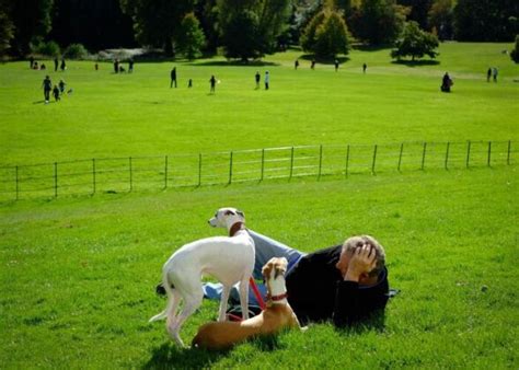 33 Popular & Most Dog-Friendly Parks in the US – Top Dog Tips